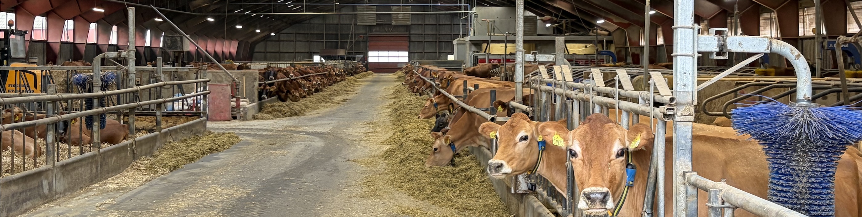 Job annonce til CMT AGRO