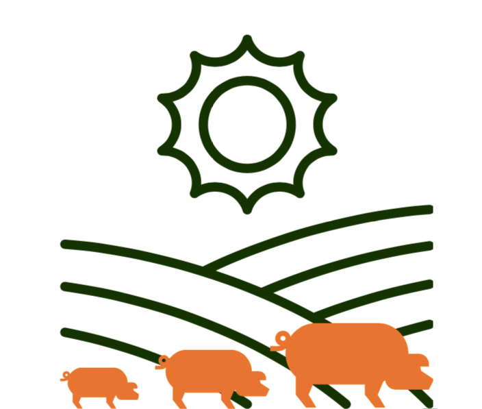 Stougaard Agro ApS     Ildvedvej 1, 7160 Tørring logo